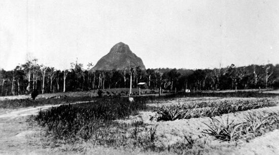Mt.Beerwah c 1925
