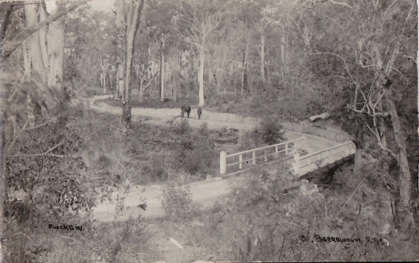 Road at Beerburrum  Dated before 1924