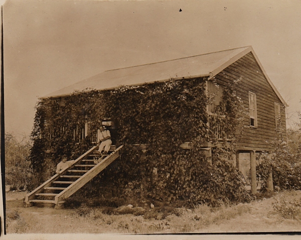 Jack Walker house Beerburrum September 1921