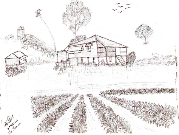 Sketch by Margaret Best of her farm in Beerburrum