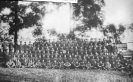 31st Battalion 1916